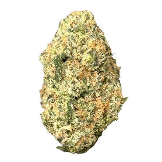 Strawberry Mimosa (Hybrid)