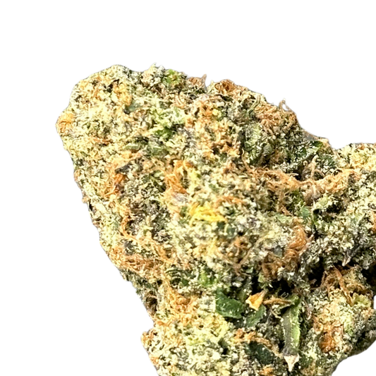 Orange Creamsicle (Hybrid)