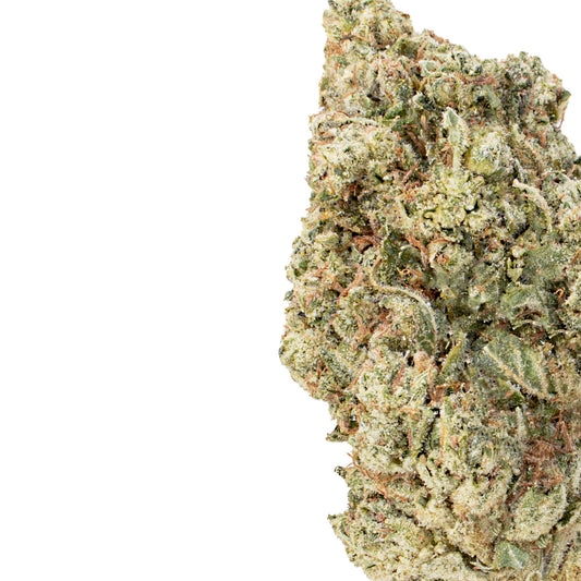 Honey Melonade - Hybrid