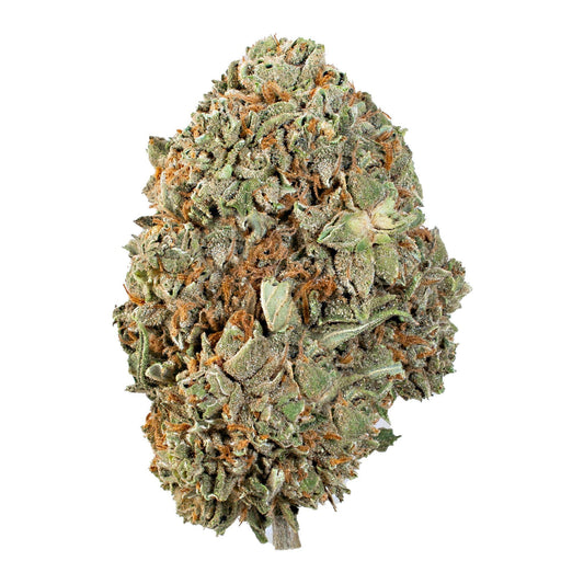 Forbidden Flower (Hybrid)