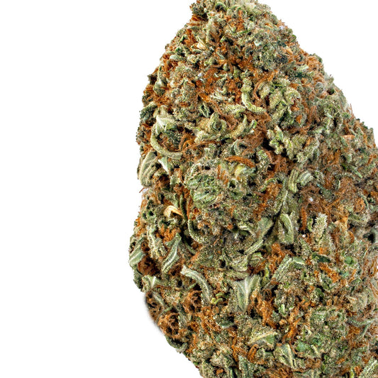 Rainbow Sherbet 11 (Hybrid)