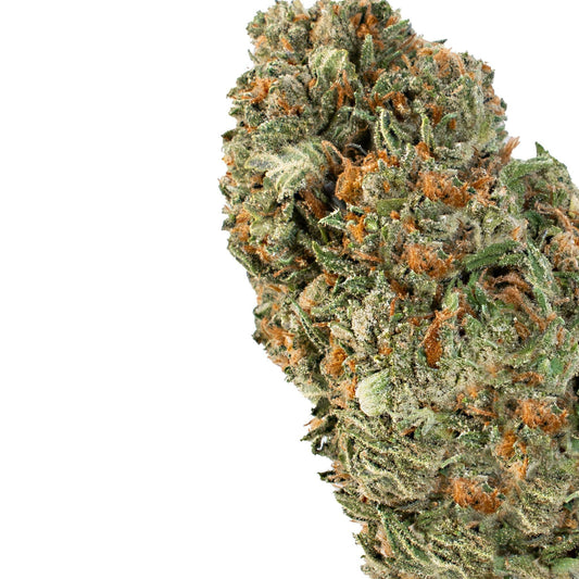 Permanet Rainbow ( Hybrid ) - Chunky Academy