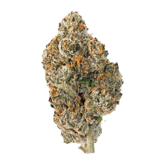 Horchata RedBull ( Hybrid ) - Chunky Academy