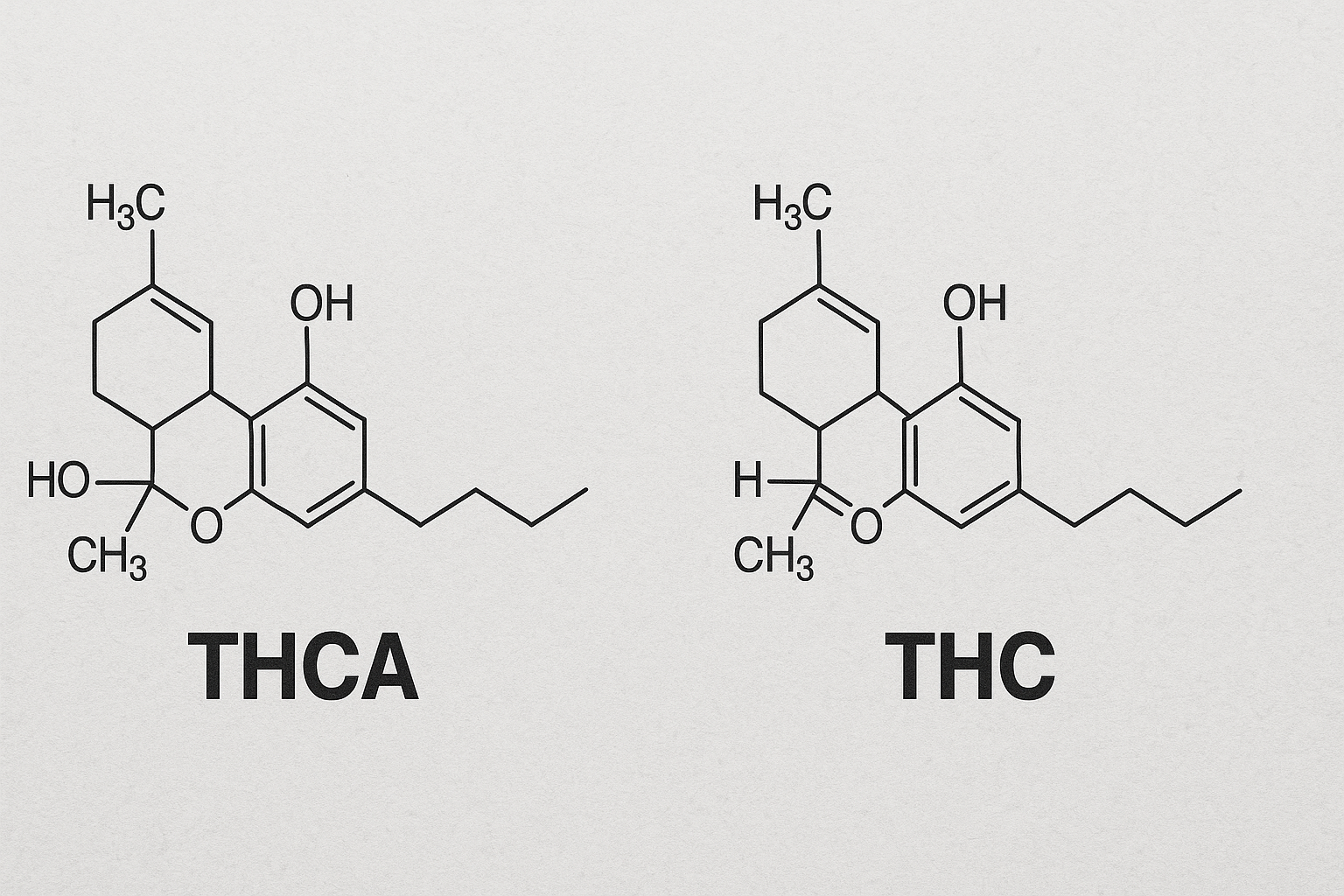 THCA and THC 