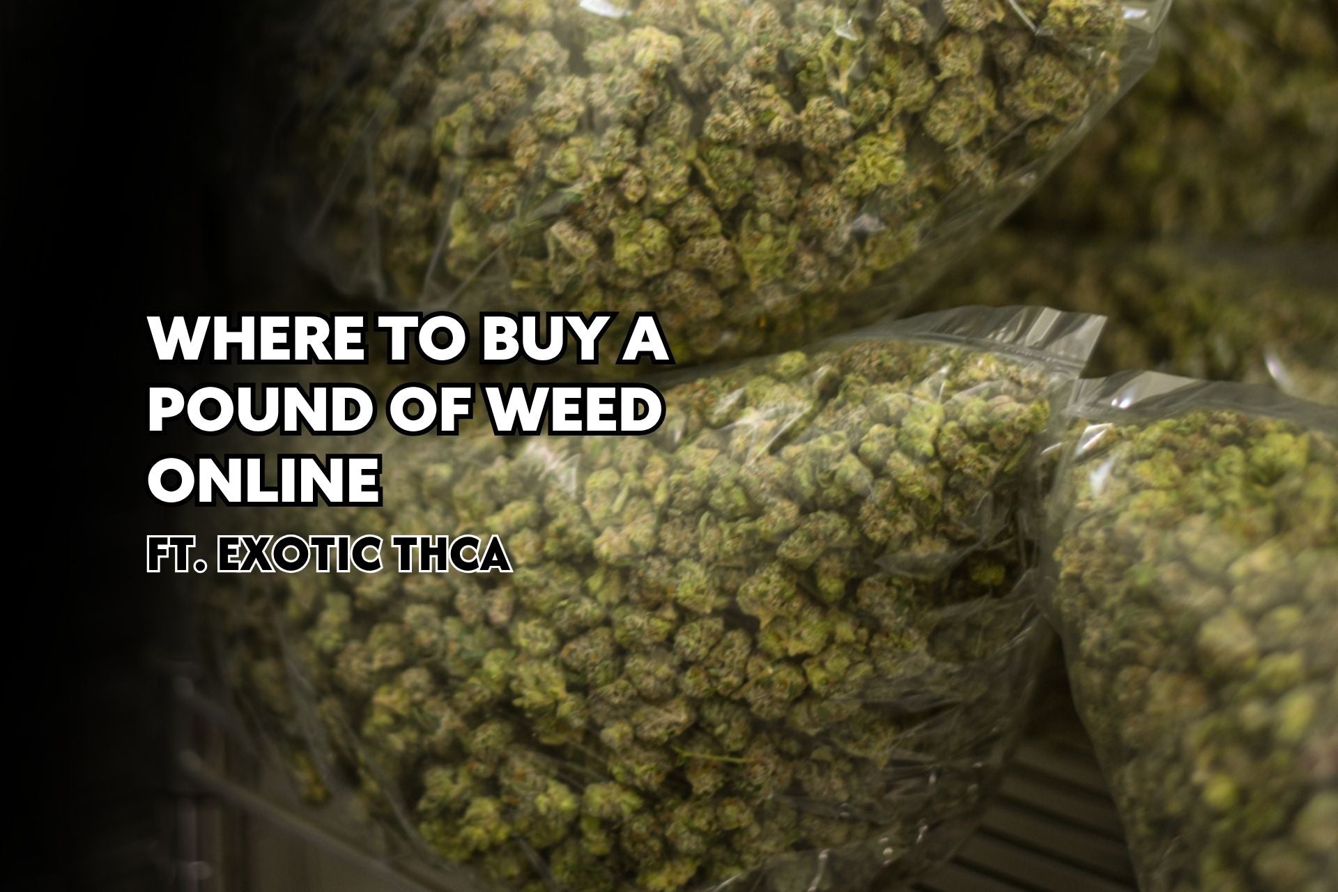 Where to Buy a Pound of Weed Online ft. Exotic THCa