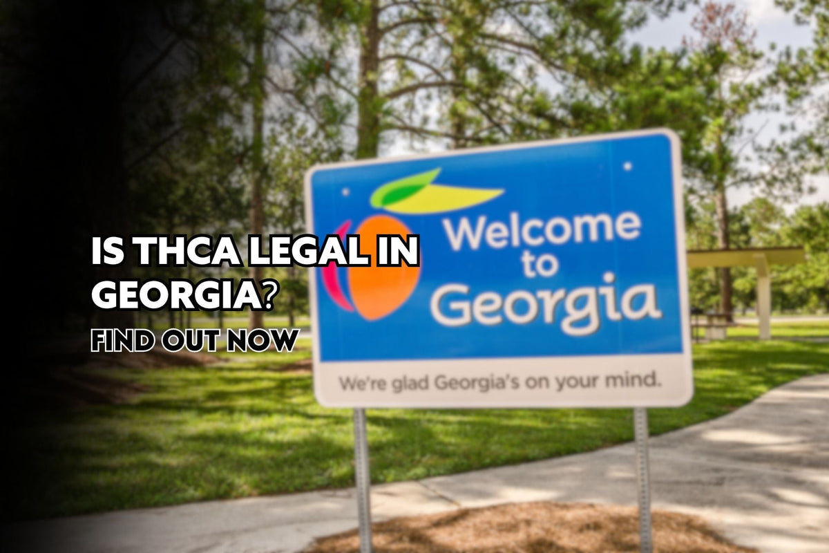 Is THCa Legal In Georgia? Find Out