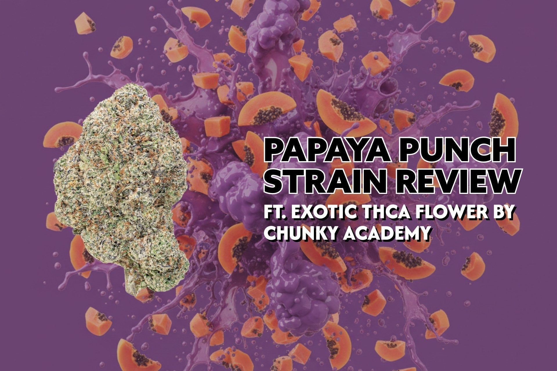Papaya Punch Strain Review Ft. Exotic THCa Flower