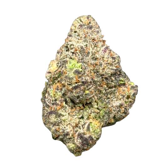 Rainbow Gush Pop (Hybrid)