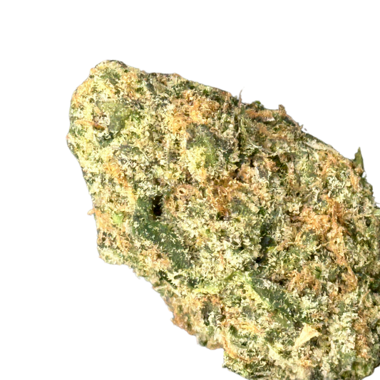 Strawberry Mimosa (Hybrid)