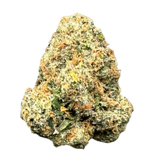 Orange Creamsicle (Hybrid)