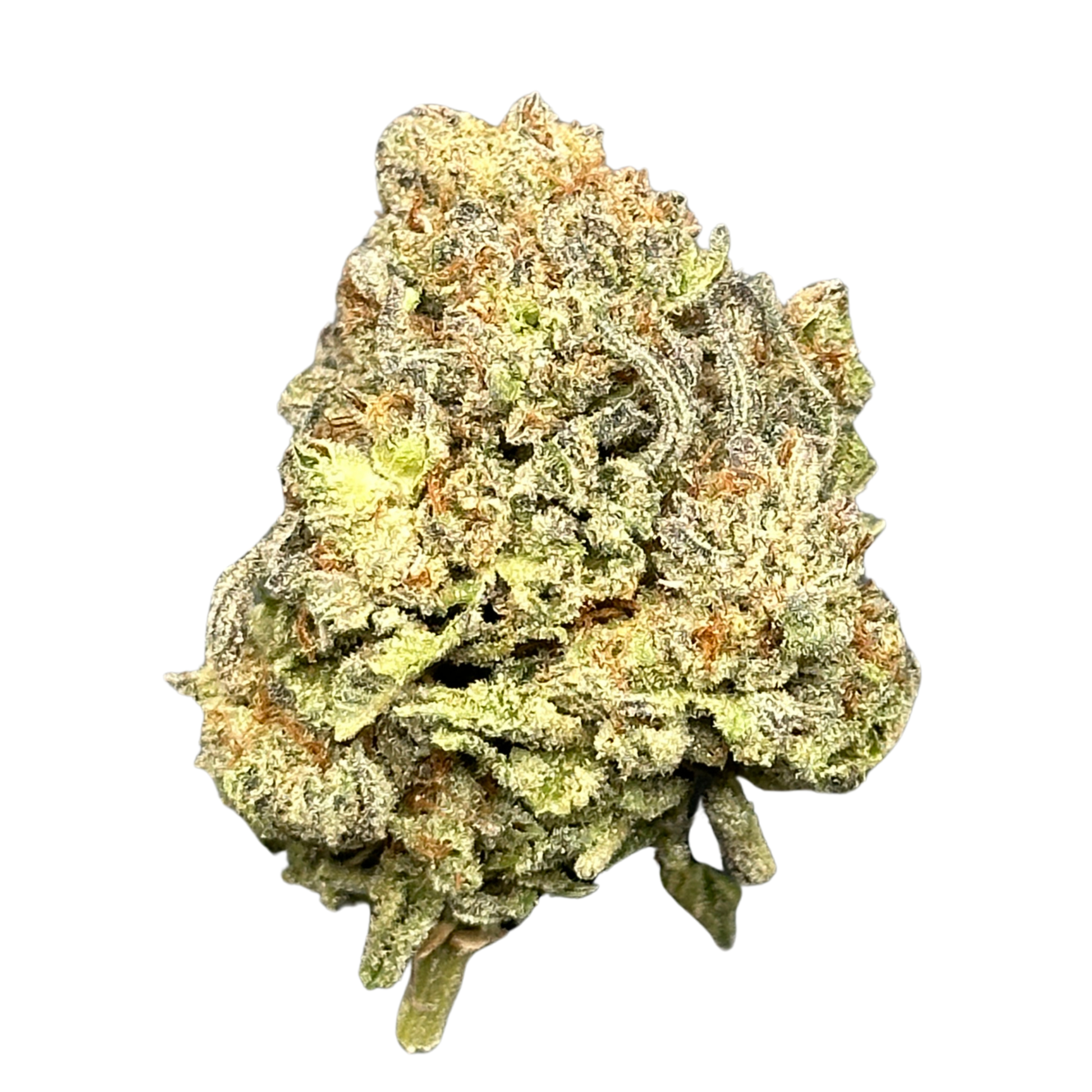 Crunch Berriez (Hybrid)
