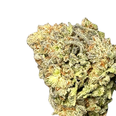 Crunch Berriez (Hybrid)