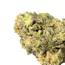 Gumbolato (Indica Hybrid)