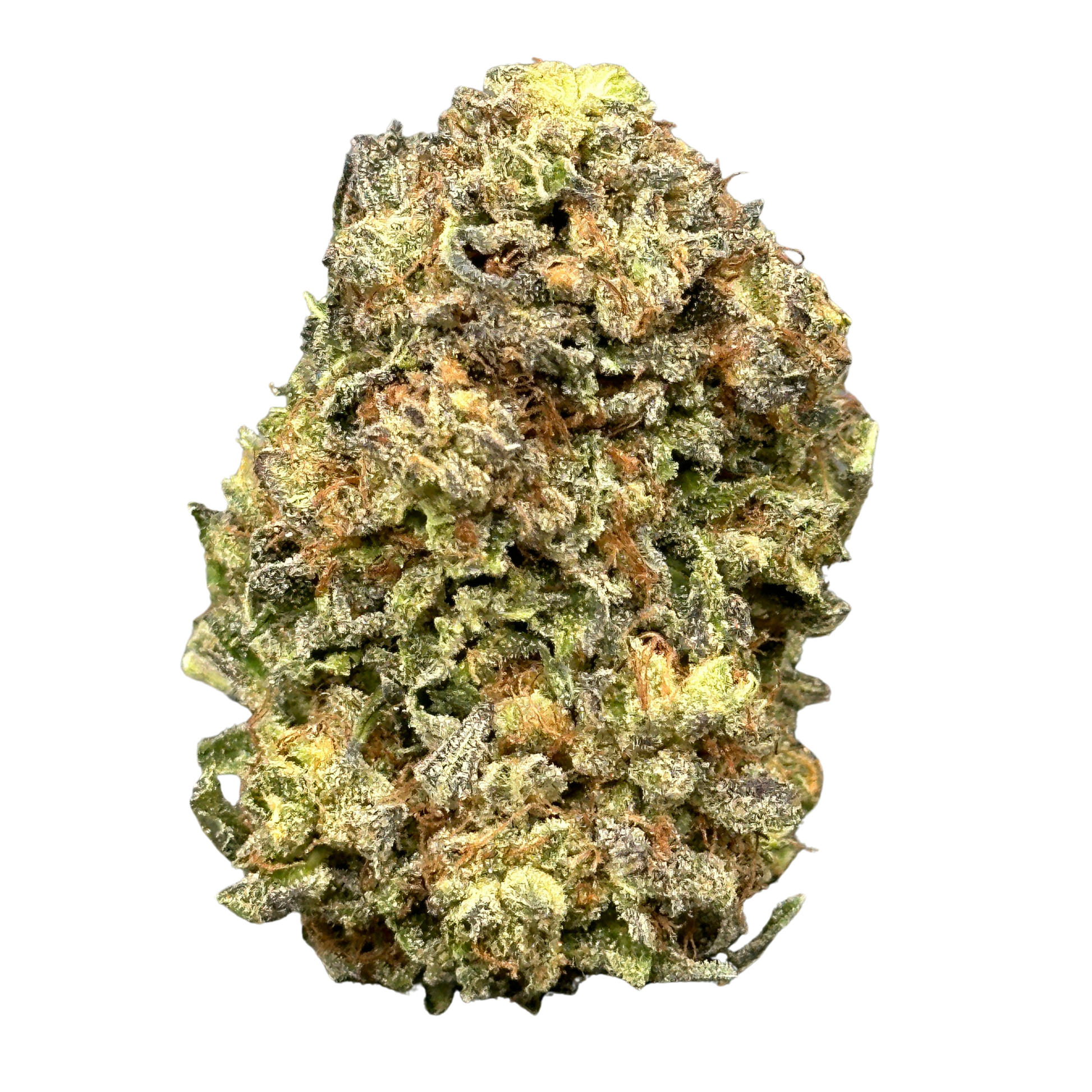 Nightmare Haze (Sativa Hybrid)