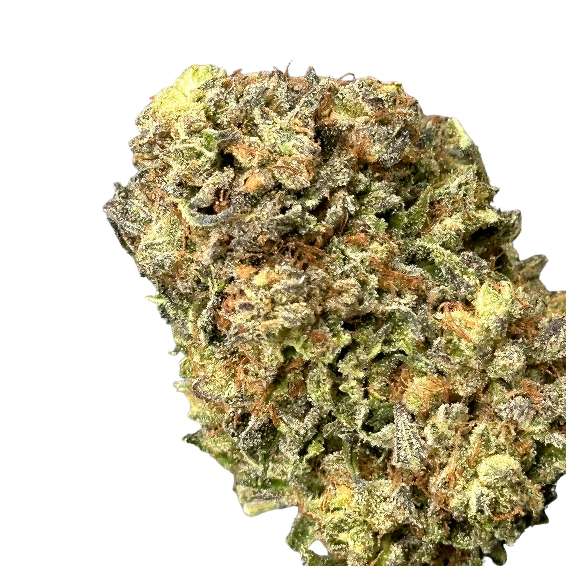 Nightmare Haze (Sativa Hybrid)