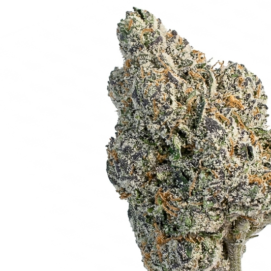 Very Berry Xtreme (Hybrid)