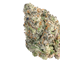 Strawberry Lemonade Gelato (Hybrid)