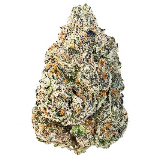 Watermelon Bubblegum (Hybrid)