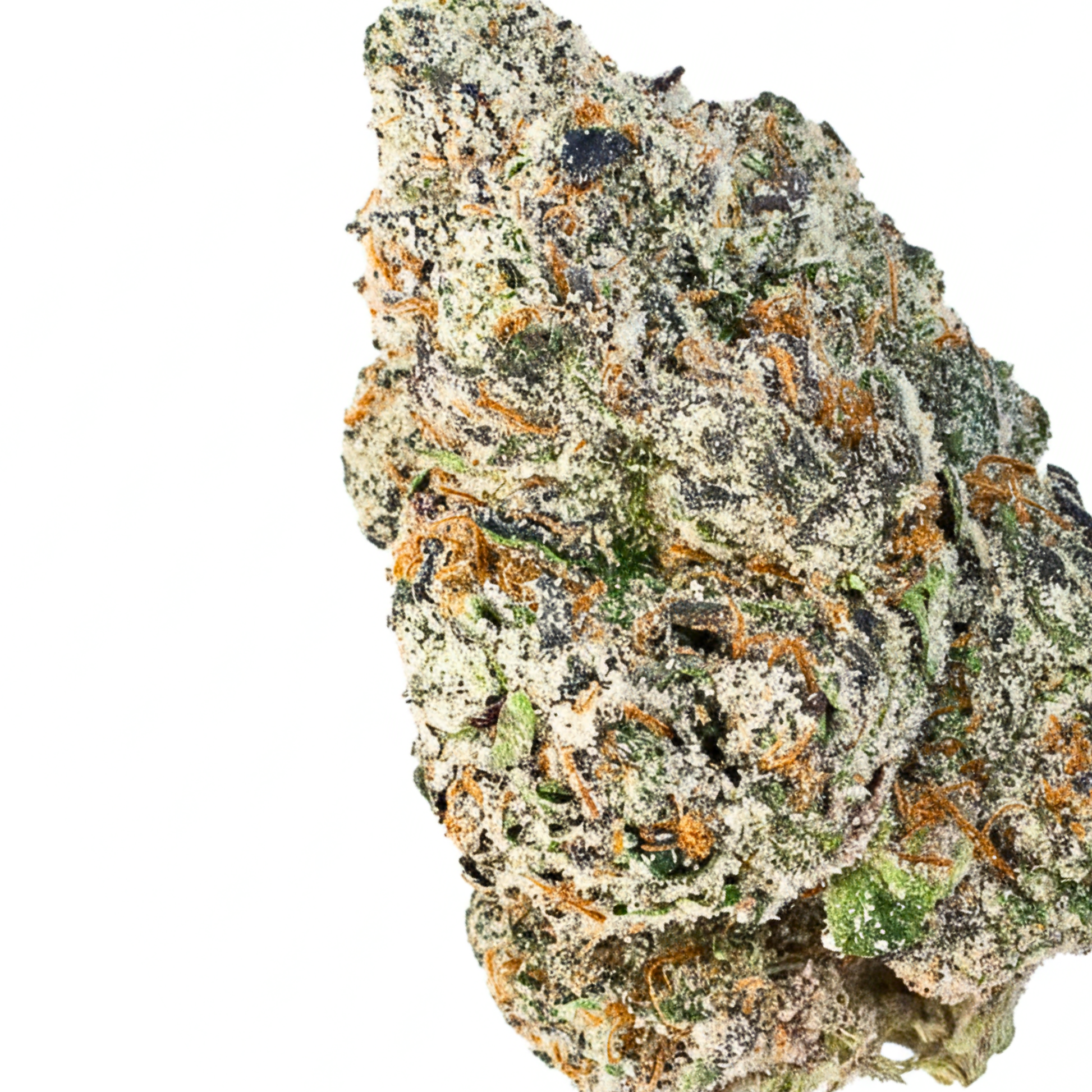 Watermelon Bubblegum (Hybrid)