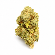 Tropical Gas – Indica THCa Flower