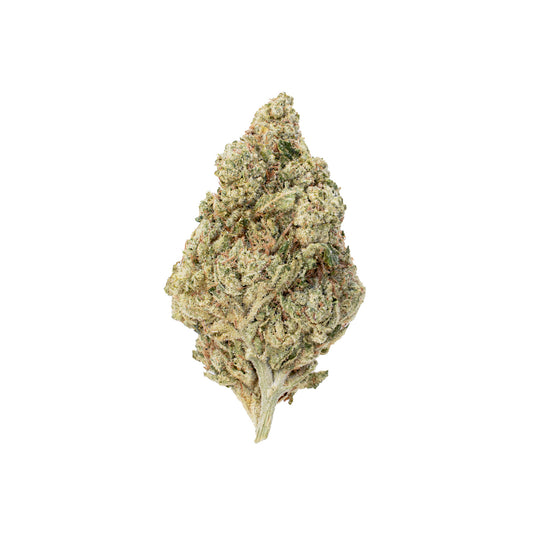 Honey Melonade - Hybrid