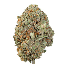 Forbidden Flower (Hybrid)