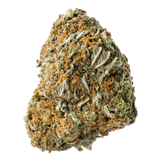 Rainbow Sherbet 11 (Hybrid)
