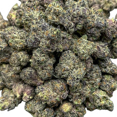 Midnight Bloom(Small)-Sativa Hybrid