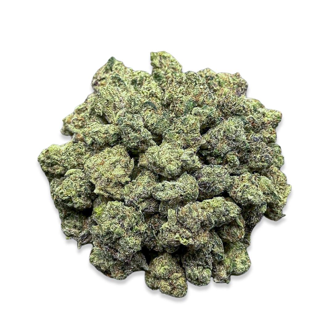 Pineapple Cooler(Small)-Hybrid