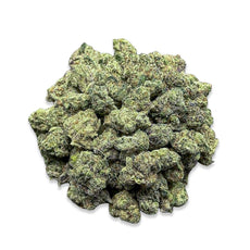 Pineapple Cooler(Small)-Hybrid