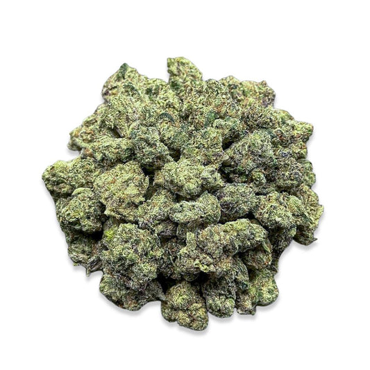 Pineapple Cooler(Small)-Hybrid