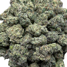 Pineapple Cooler(Small)-Hybrid