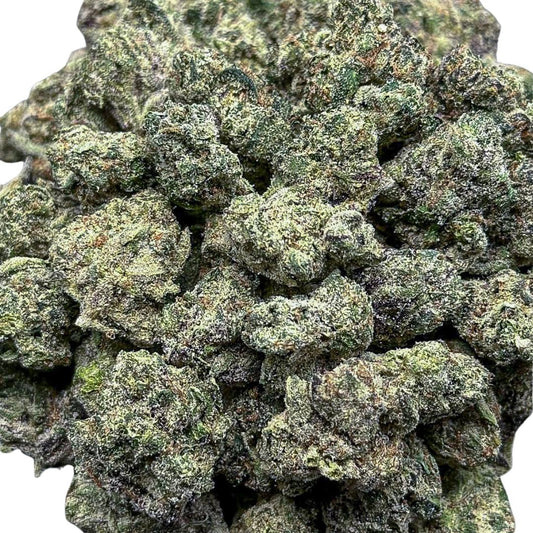 Pineapple Cooler(Small)-Hybrid