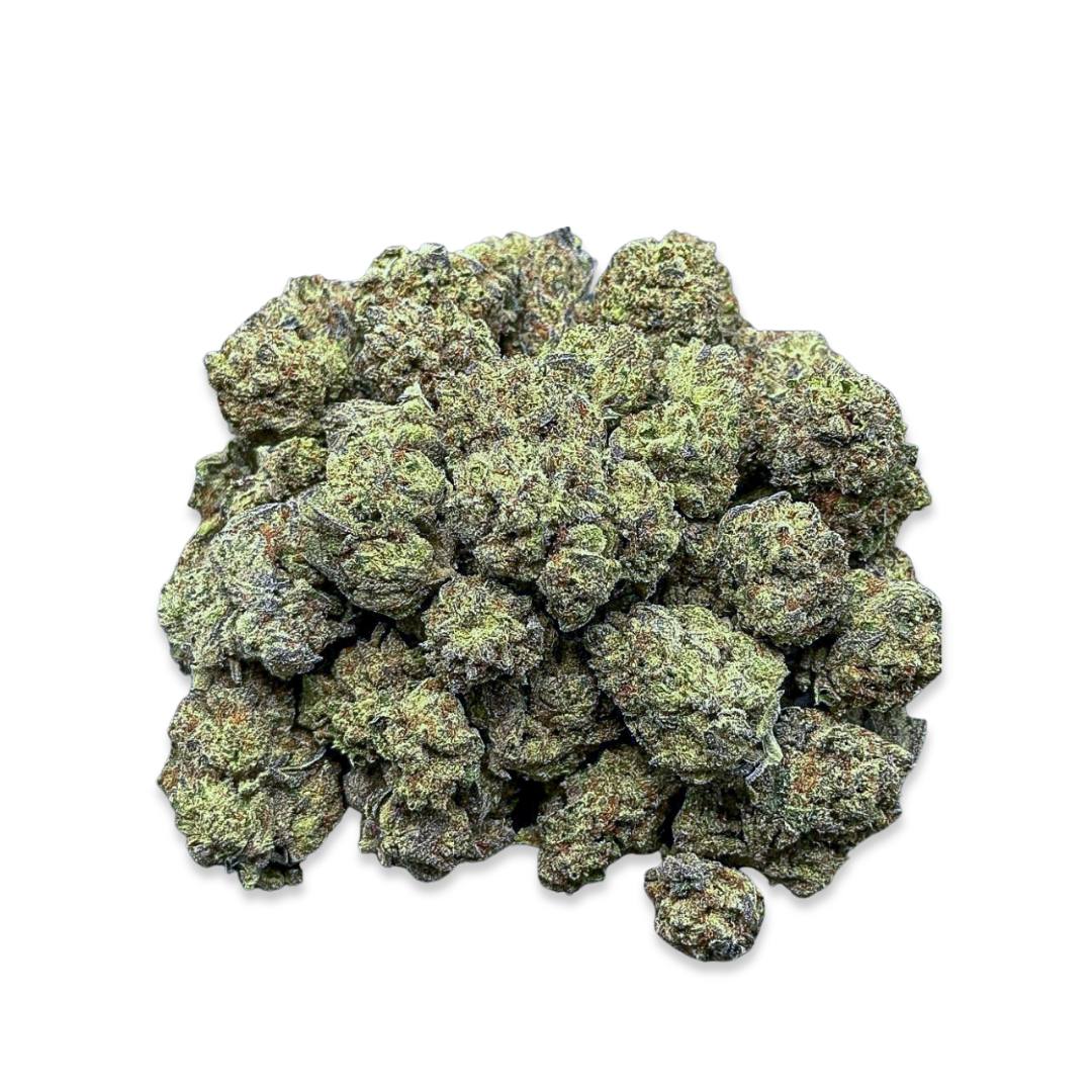 Sugar Halo(Small)-Hybrid