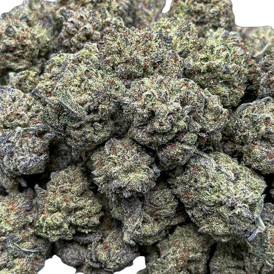 Sugar Halo(Small)-Hybrid